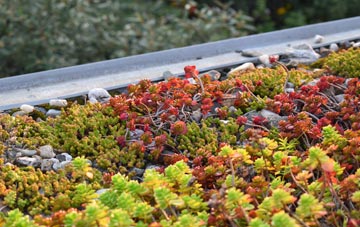 the cost of Easthouses green roof installation