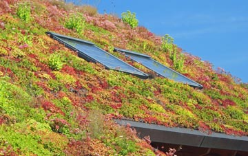 Easthouses living roof systems